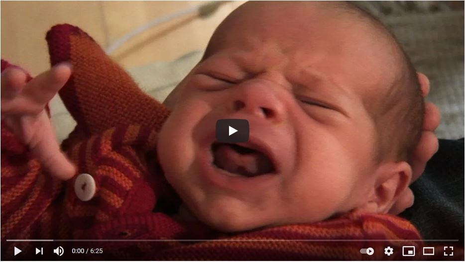 ANE-Babyfilm 2: Baby Sprache - Schreien